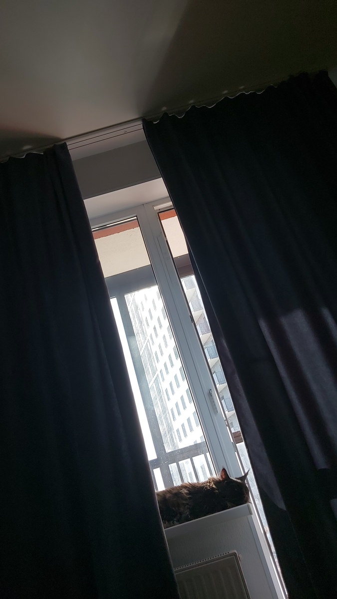 В новом гнезде