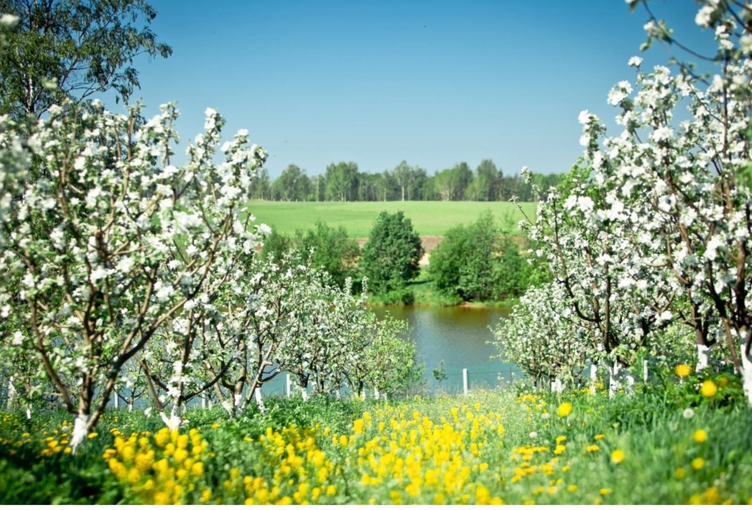 Май,--взято из интернета с целью ознакомления. 