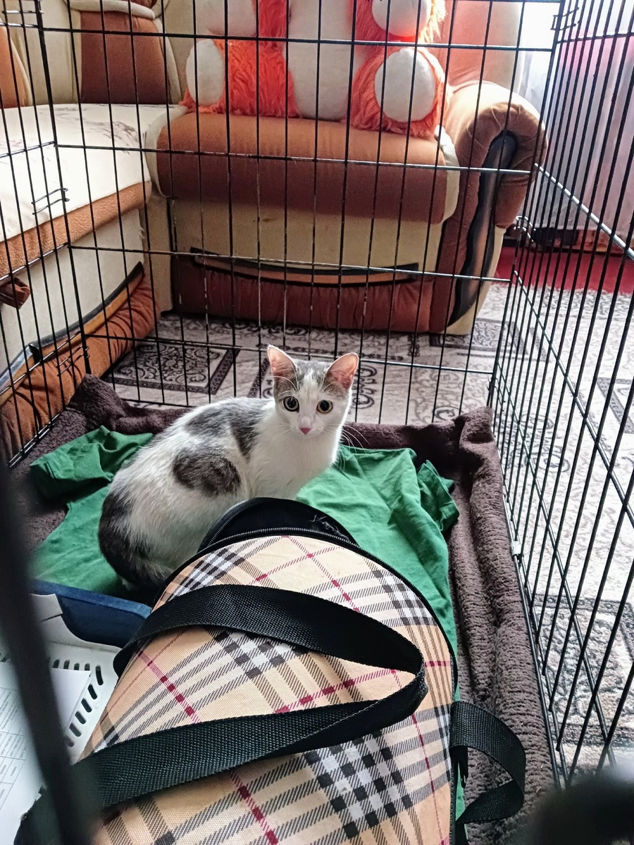 Такая маленькая 