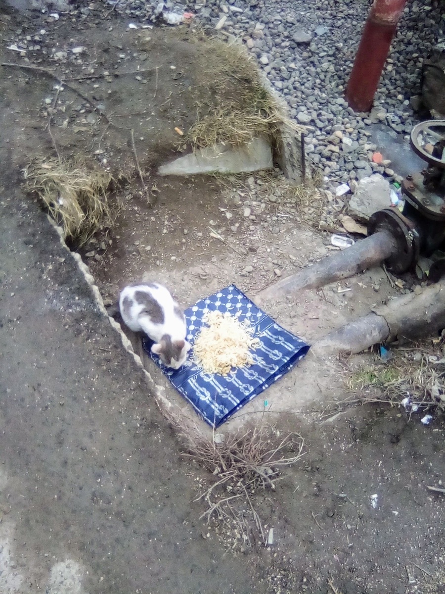 Она такая маленькая, и беременная 