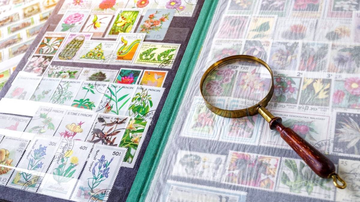    Фото: Shutterstock