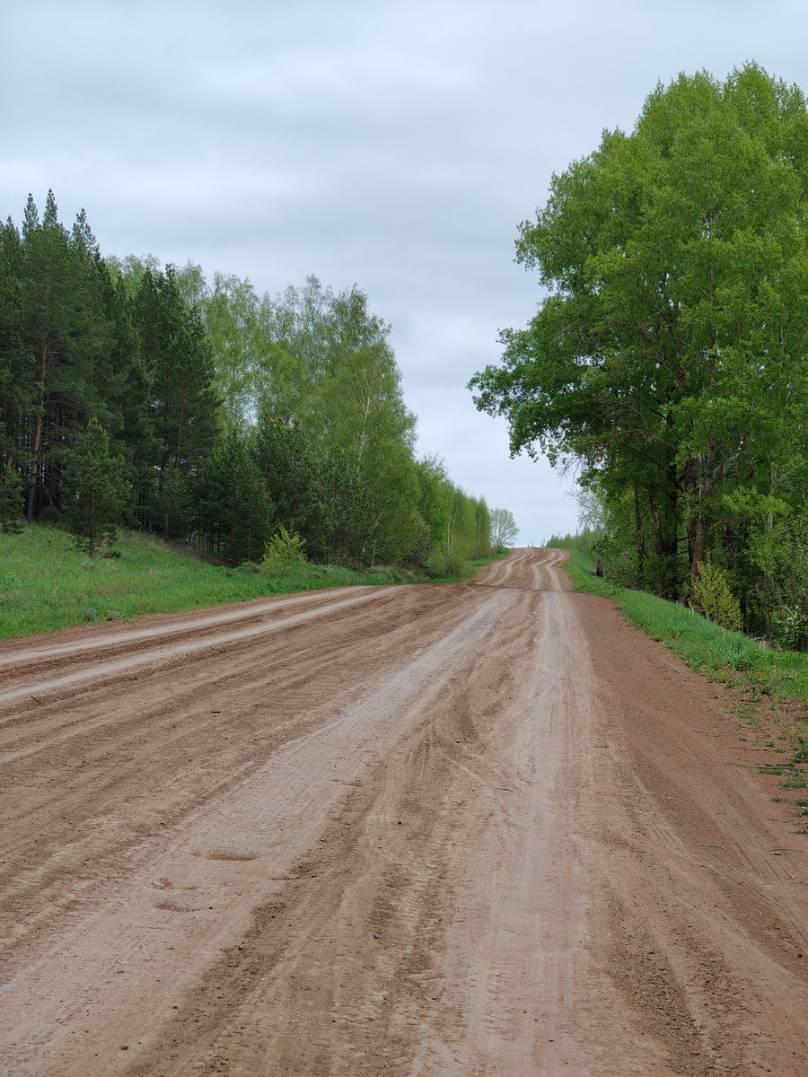 Дорога к роднику