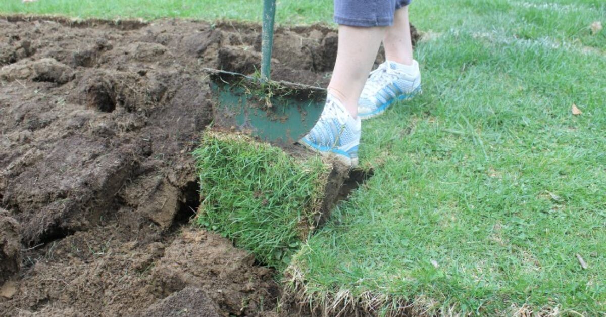 фото из открытых источников.