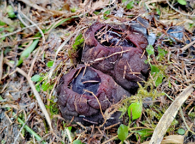 Фото Леси Рязанцевой