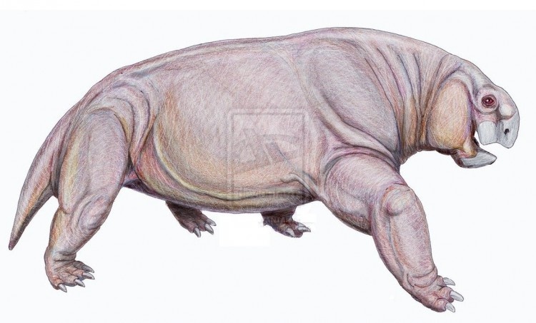 Ещё одна шталекерия от Дмитрия Богданова. 