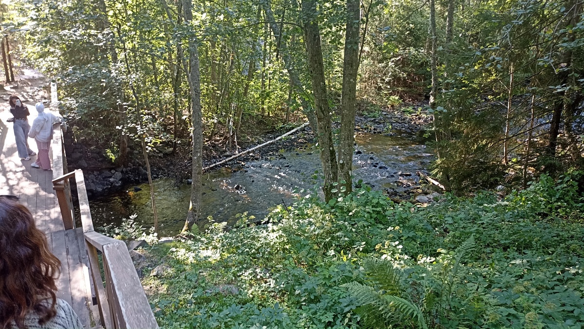 Спуск к водопаду Кивач