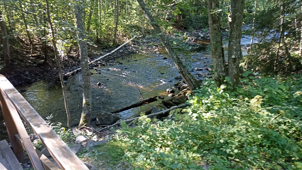 Спуск к водопаду Кивач