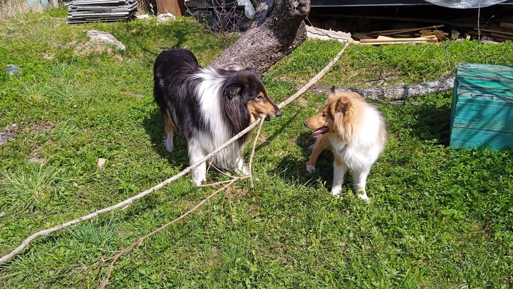 Фото из личного архива