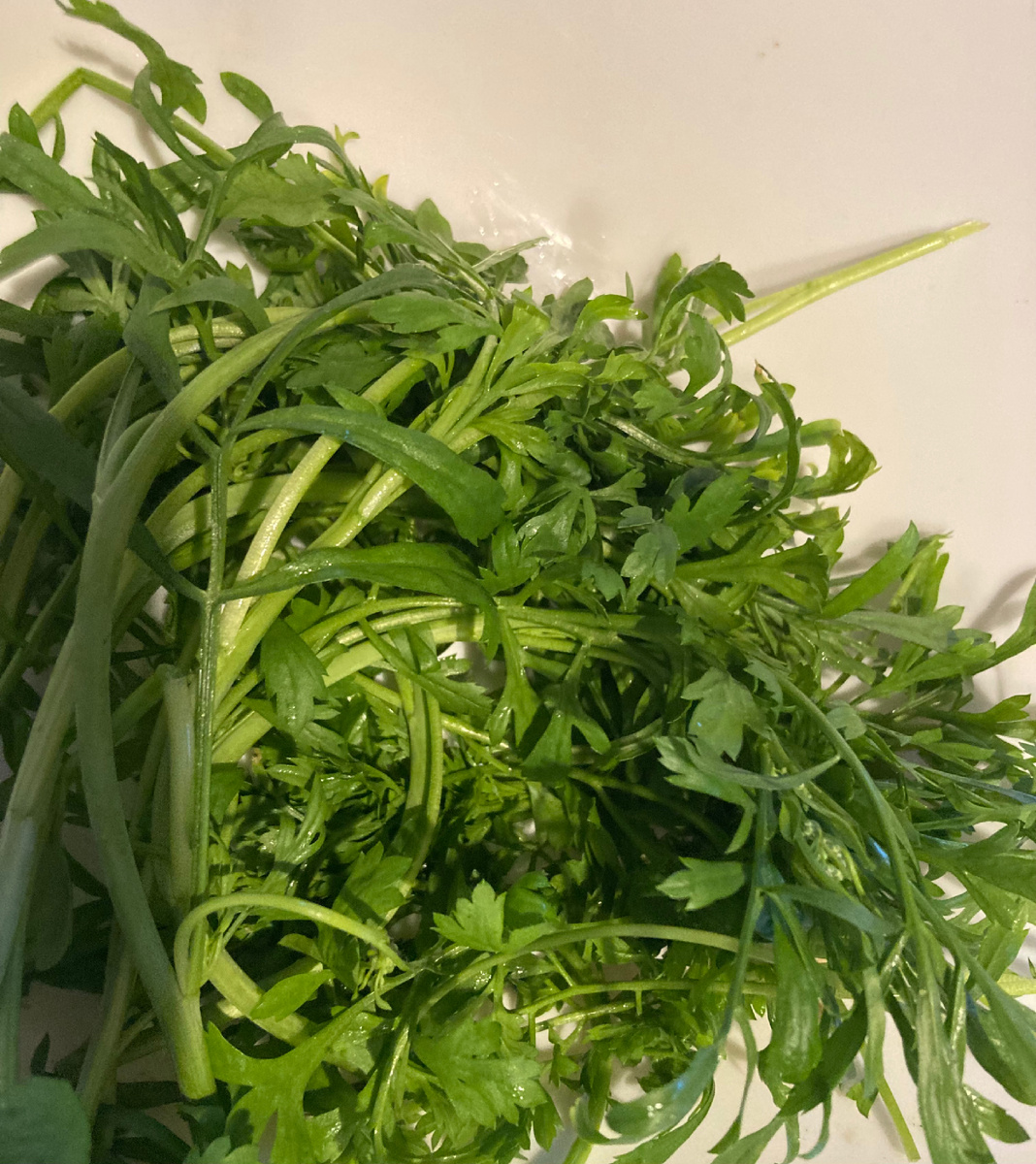 Кресс-салат собственной персоной, фото мое.