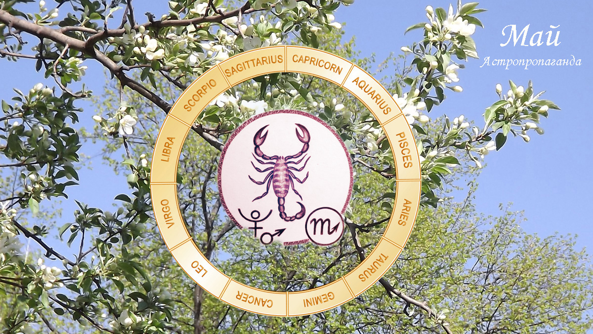 Гороскоп для Скорпиона с 5 мая по 1 июня 2025. 
