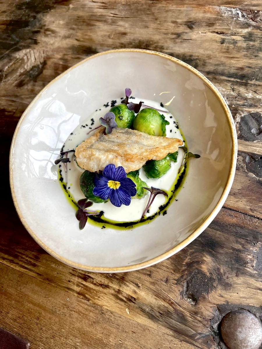 Фотоотзыв шеф-повара, ресторан «Стрекоза» 