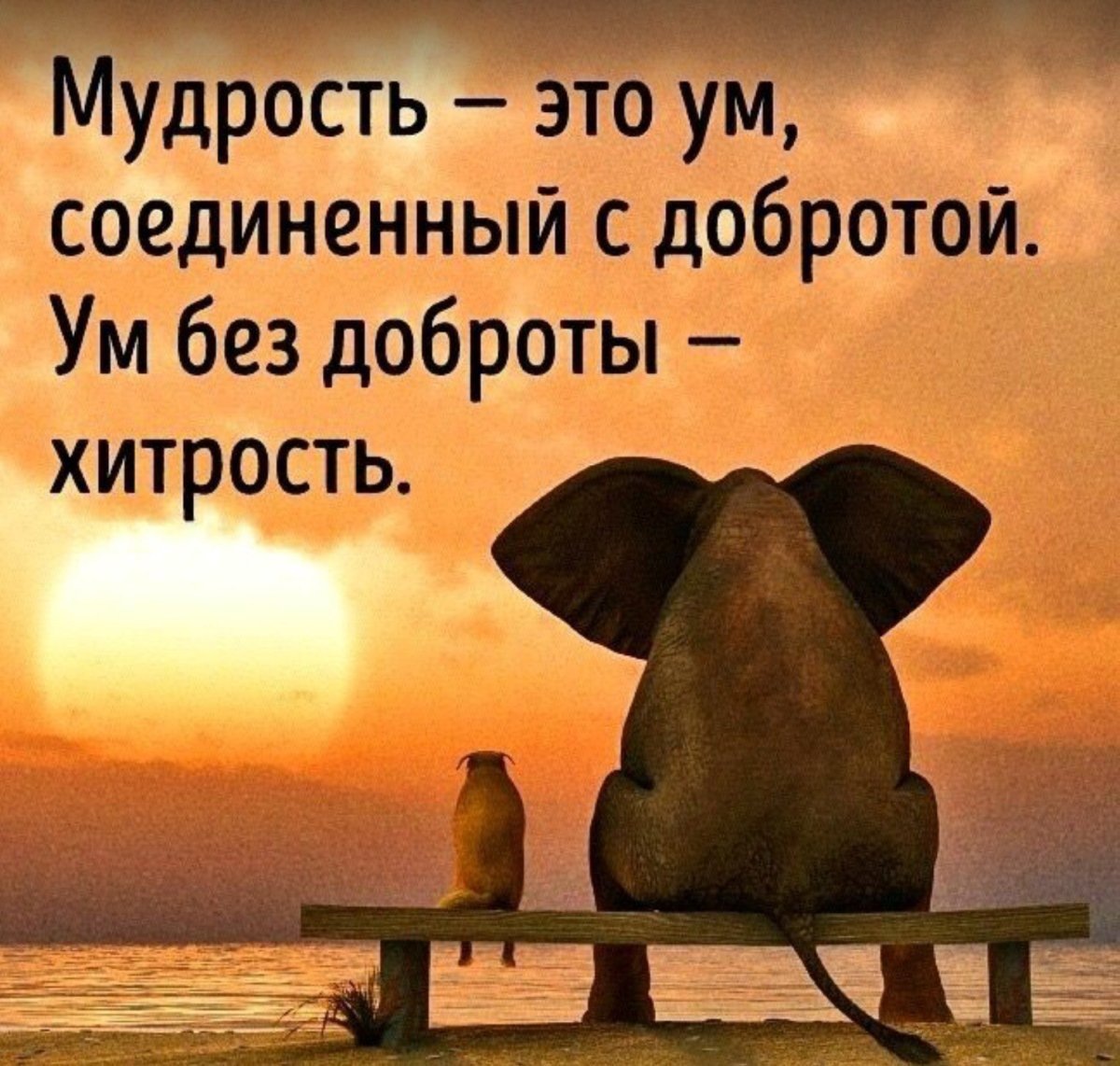 Мудрость  -  это ум. Не хитрость.