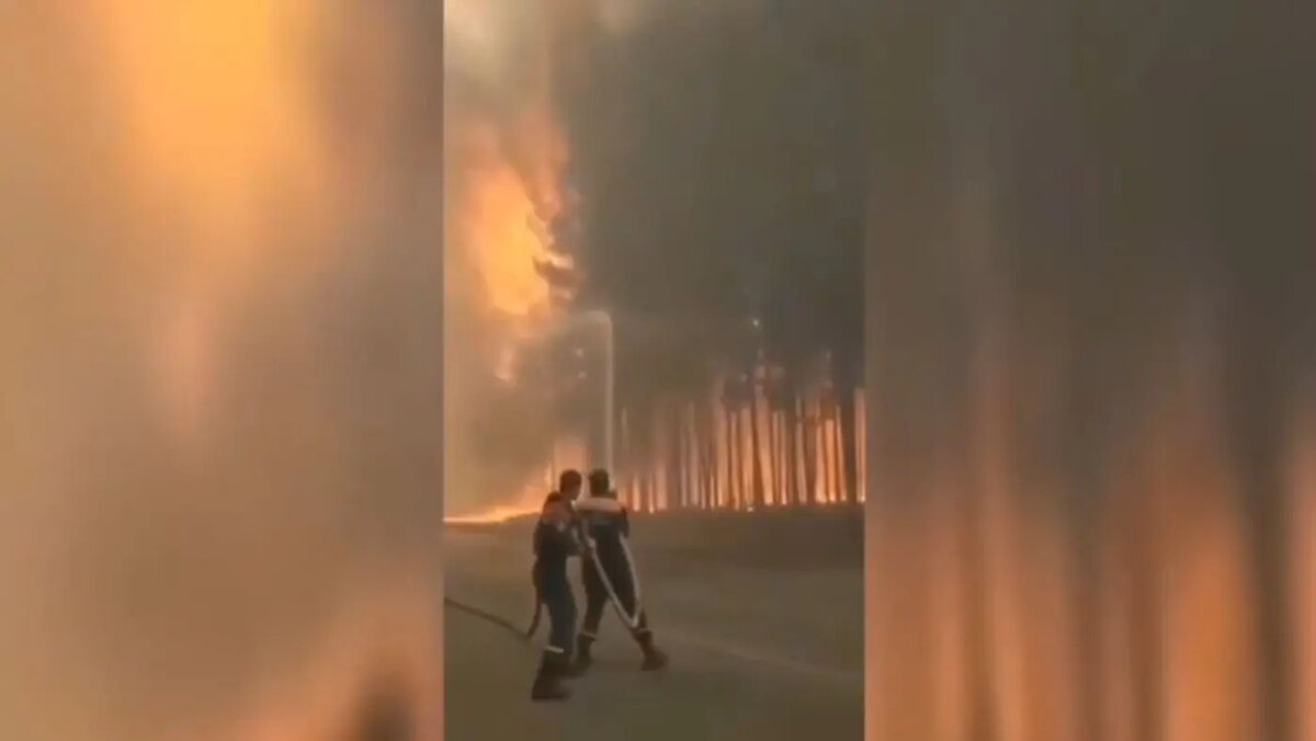    Фото: кадр видео из соцсетей