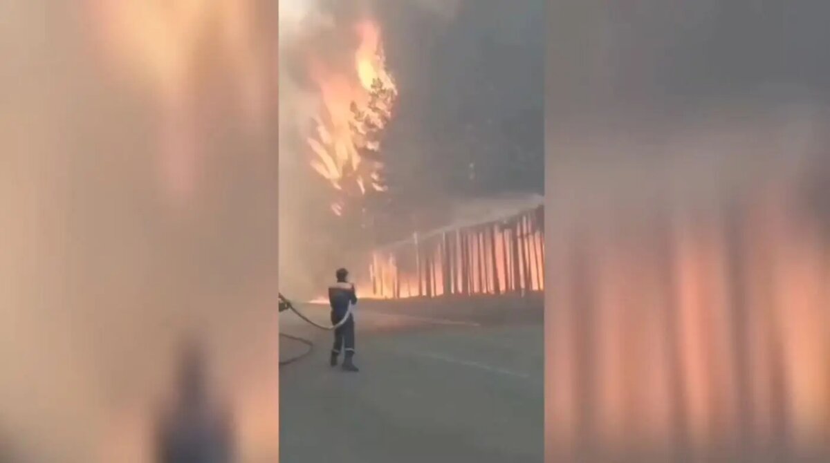    Фото: кадр видео из соцсетей