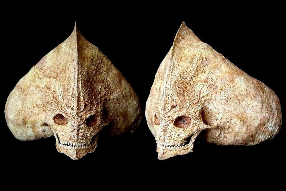 Череп марсианина. Источник фото: http://chudinov.ru/wp-content/uploads/2017/03/sovremenye5.jpg