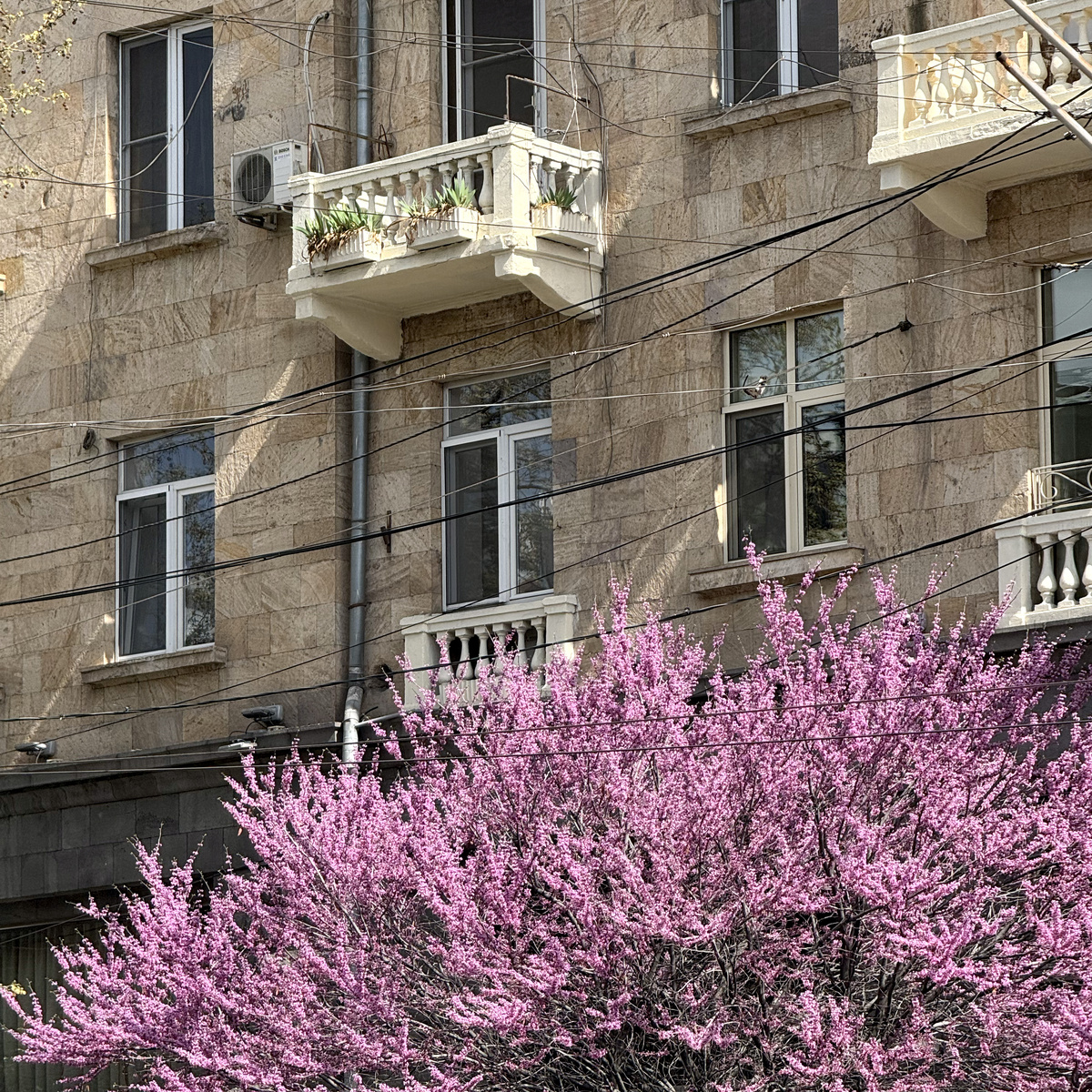 Ереван. Фото автора