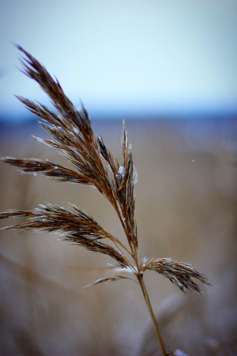 Изменение погоды .