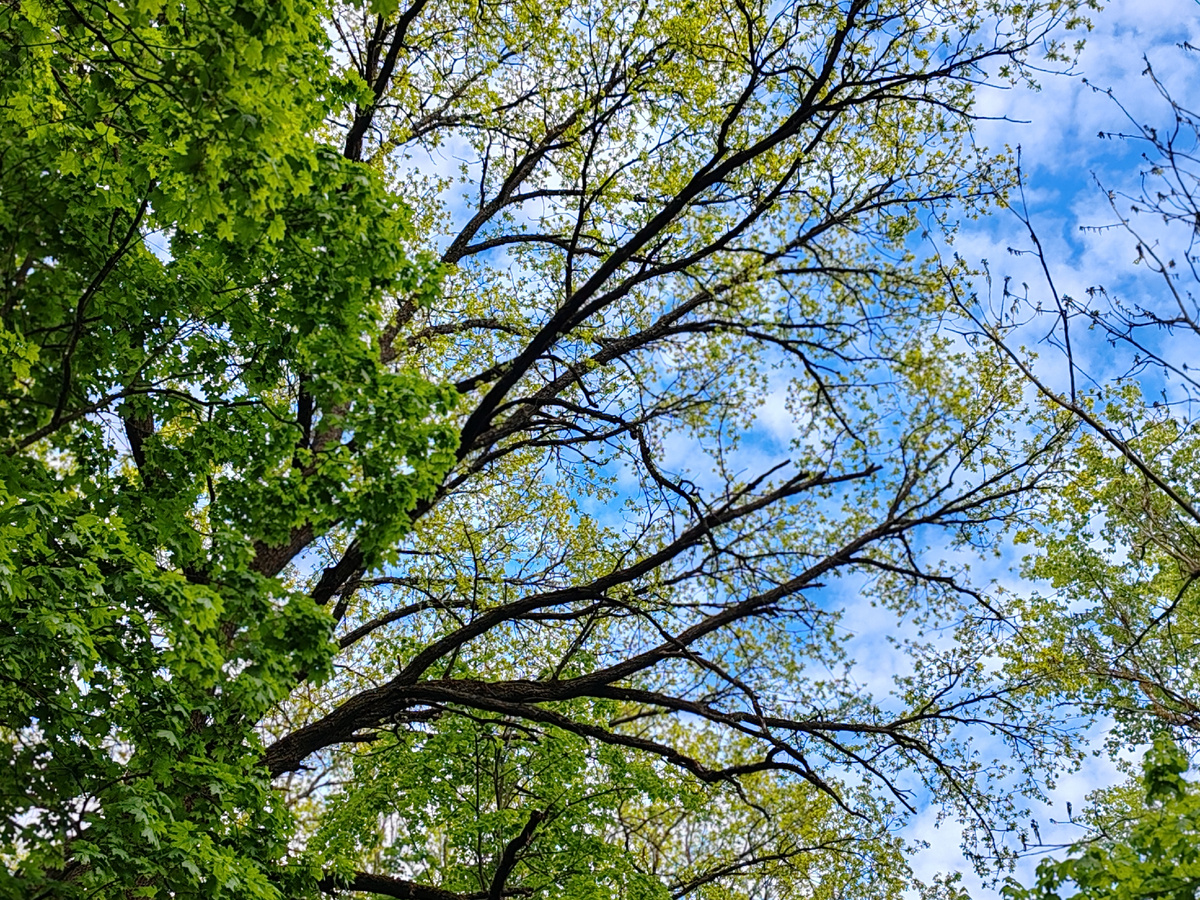 Фото автора канала. 