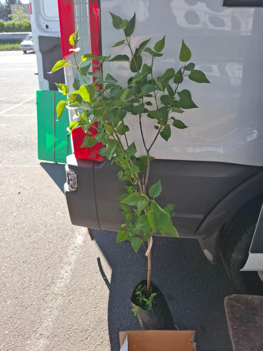 Фото автора канала. 