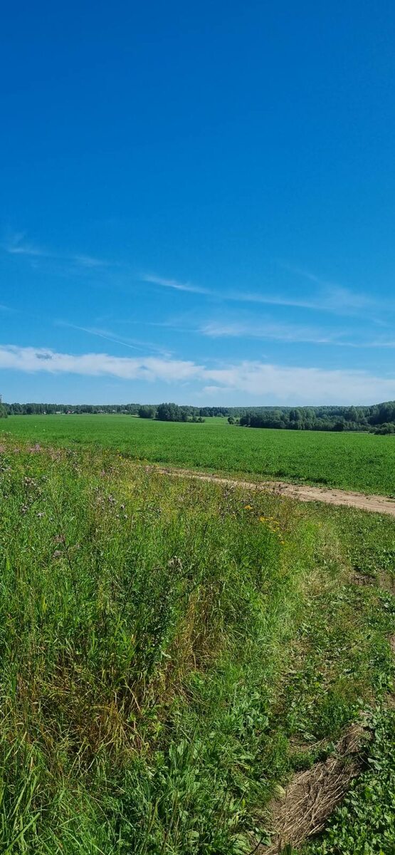 Фото из архива автора 