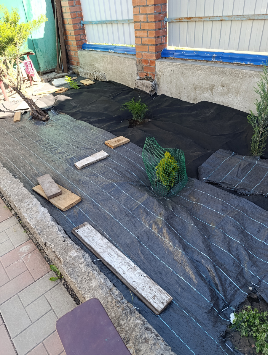 Геотекстилем застелила полностью всю клумбу