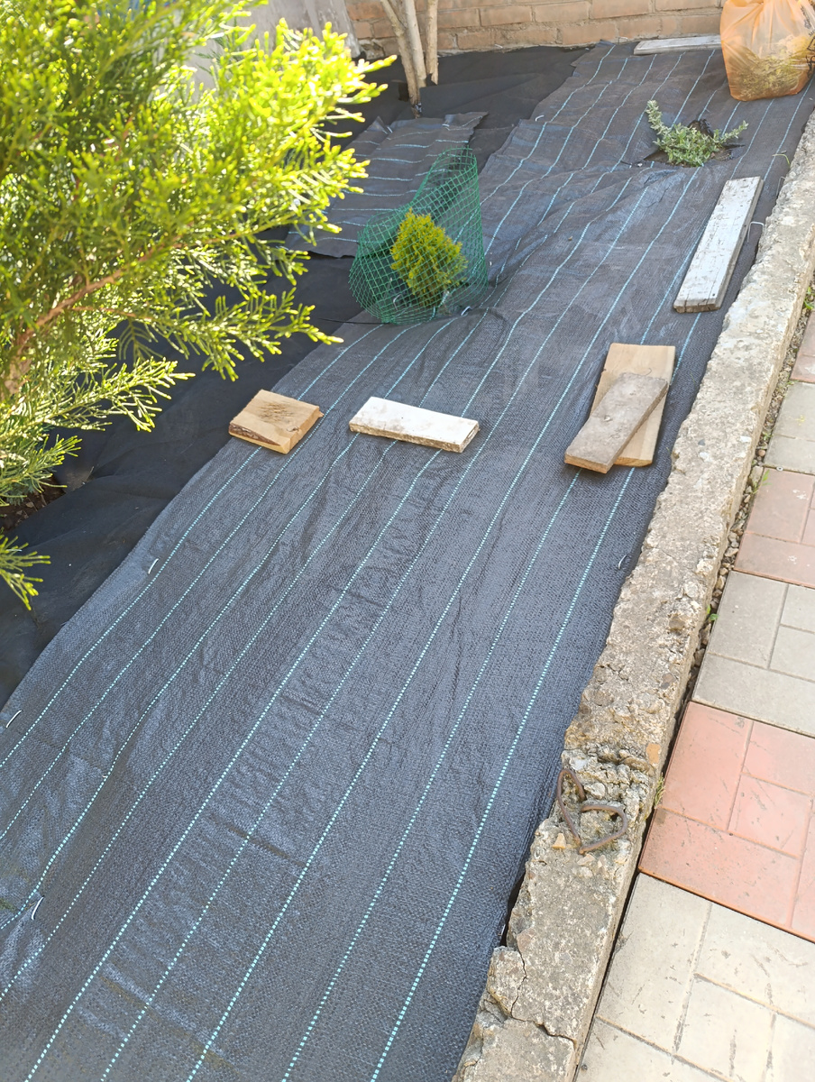 Клумбу застелила