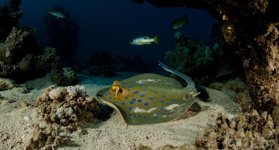    Cristian Umili/Keystone Press Agency / www.globallookpress.com