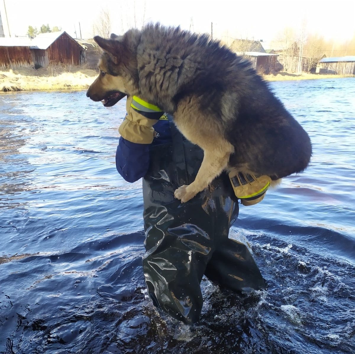    Фото: ГКУ РК ОПС по Беломорскому муниципальному округу