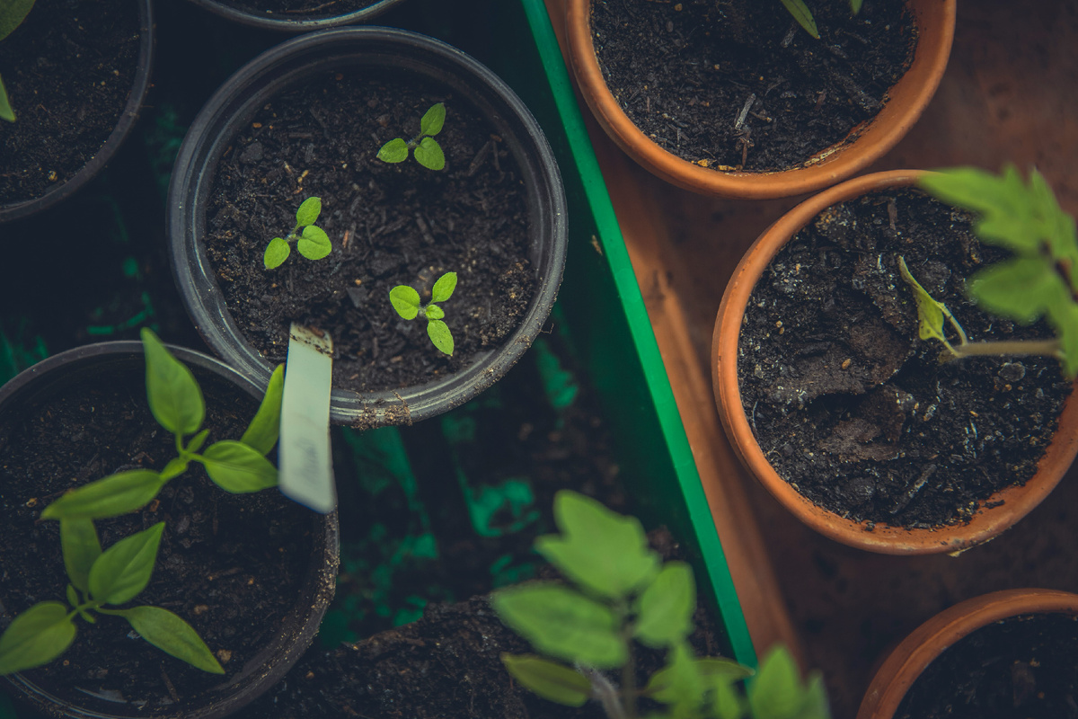 Photo by Markus Spiske on Unsplash