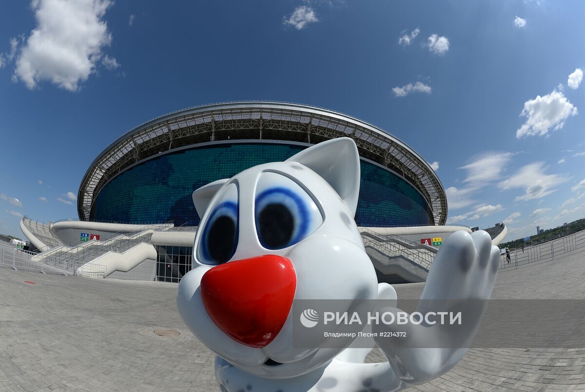 Талисман Универсиады-2013 барсик Юни. Фото Риа Новости. Автор: Владимир Песня. https://riamediabank.ru/story/list_323306/