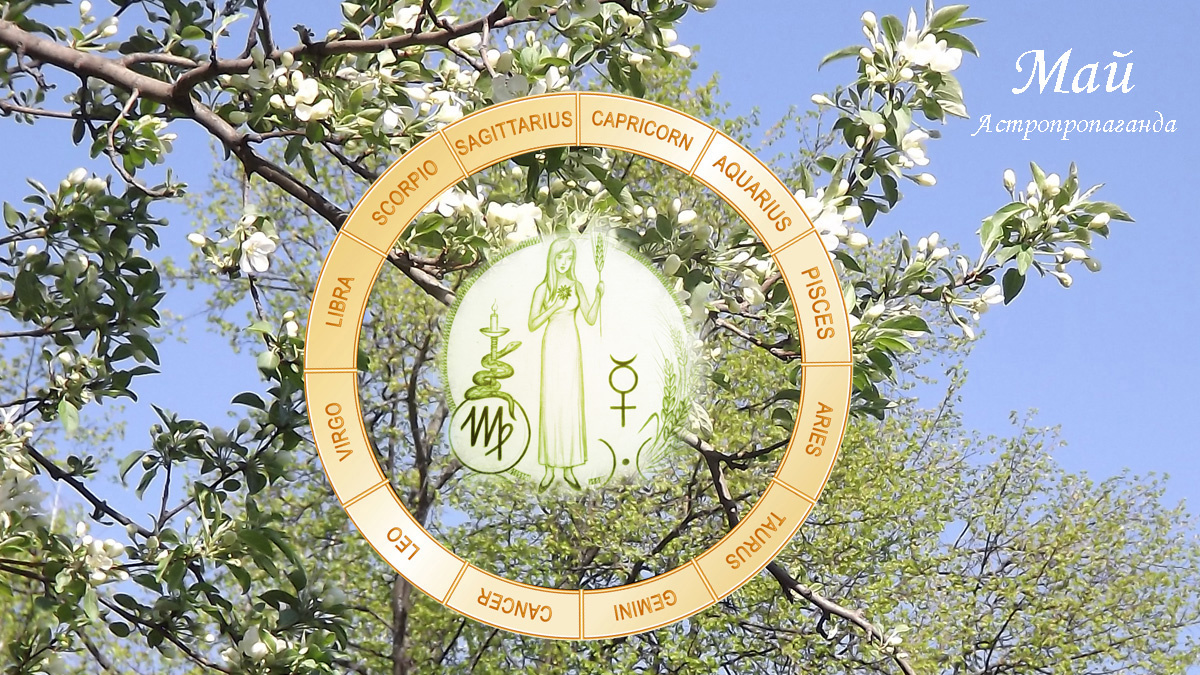 Гороскоп для Девы с 5 мая по 1 июня 2025. 