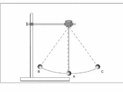 Фото из открытого источника Интернета