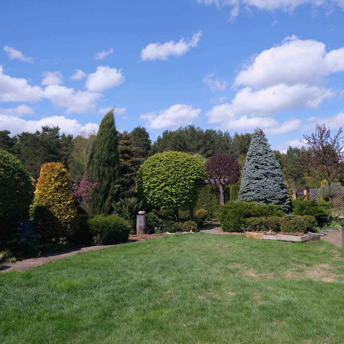 Общий вмд на сад