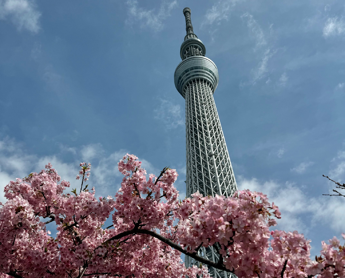 Токийское небесное дерево или Tokyo Skythree