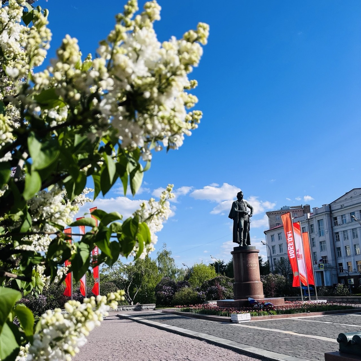Сбоку растут кусты сирени, получилось красивое фото