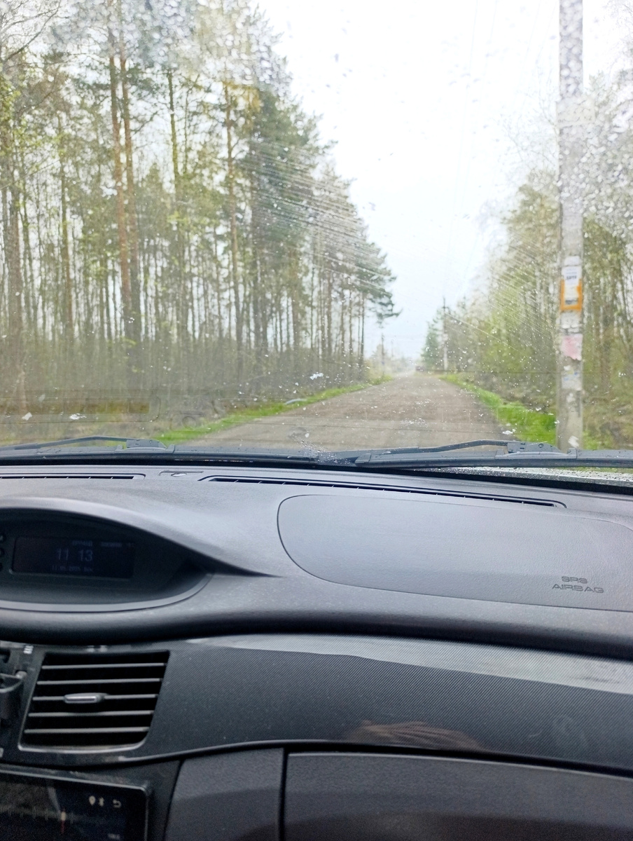 Все фото автора. 