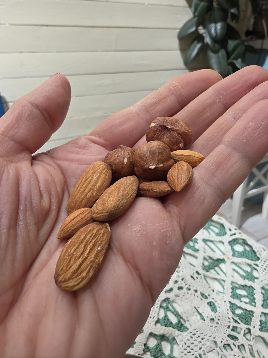 Те самые орехи и моя рука в муке, дабы ставлю тесто на хлеб. Фото автора.