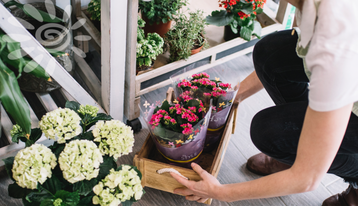 
Люди всё чаще стремятся к зелени, даже если вокруг только высотки. Балконный сад — это способ замедлиться, наполнить пространство ароматами, красками, жизнью. К тому же, ухаживать за цветами приятно и терапевтично. Неудивительно, что хэштеги вроде #balconygarden и #urbangardening набирают миллионы просмотров.
Балконы с растениями — это не просто красиво. Это способ выразить себя. Это личный оазис. А ещё — вклад в экосистему. Цветы привлекают пчёл, бабочек, создают микроклимат, снижают уровень пыли. Цветы для балкона летом — это как мини-отпуск каждый день: вышел, вдохнул аромат - сразу забыл про все рабочие завалы.