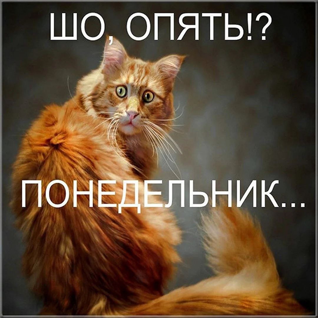 Иллюстрация с просторов интернета