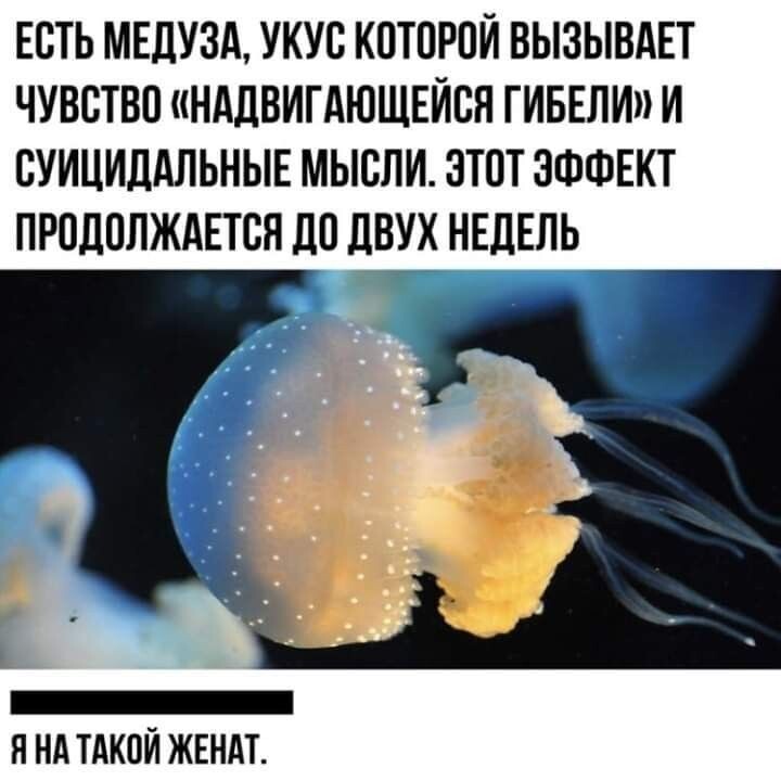 Иллюстрация с просторов интернета