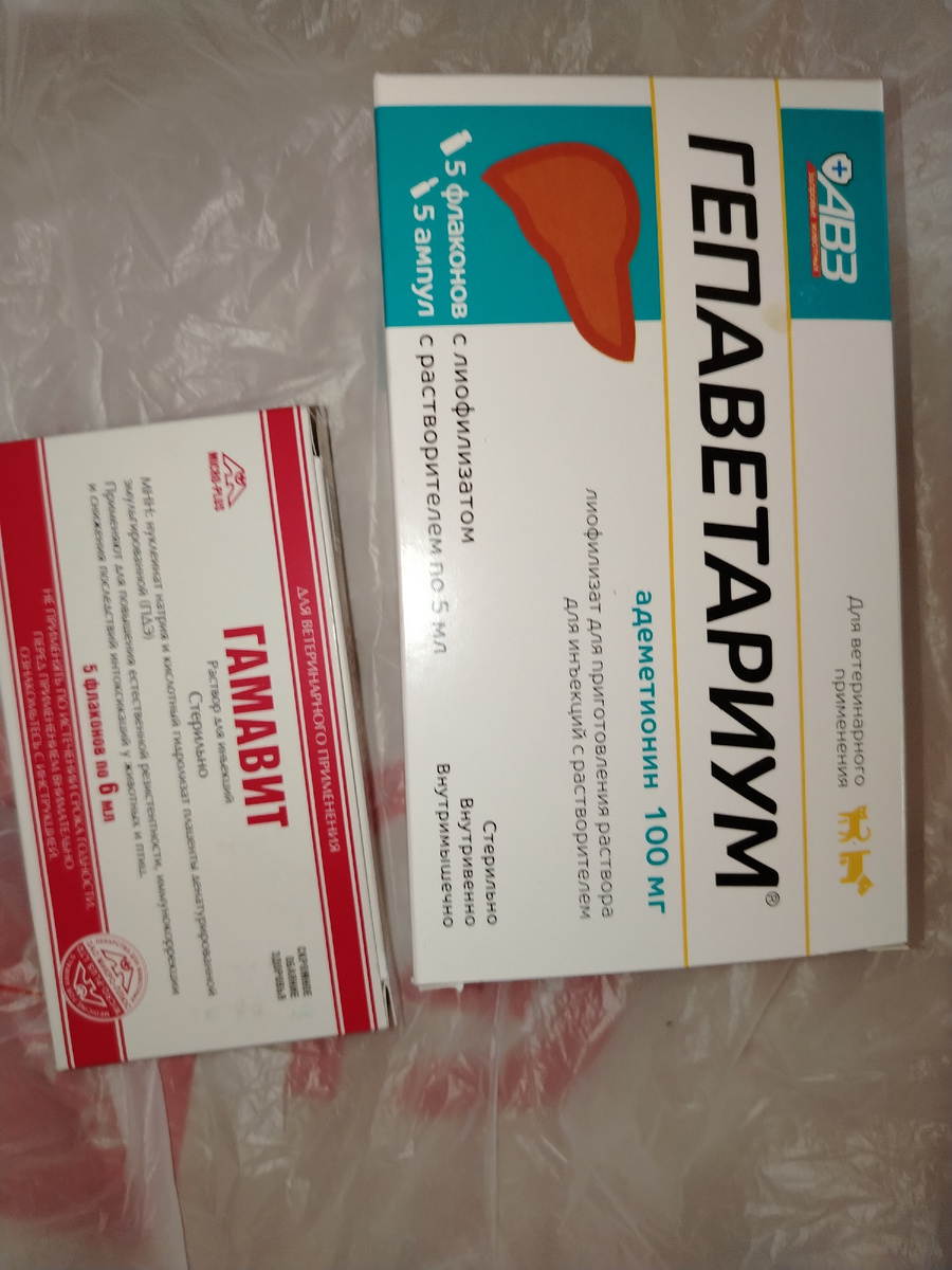 Покупка в ветеринарной аптеке