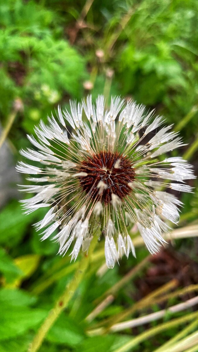 Фото  Сергея Анри