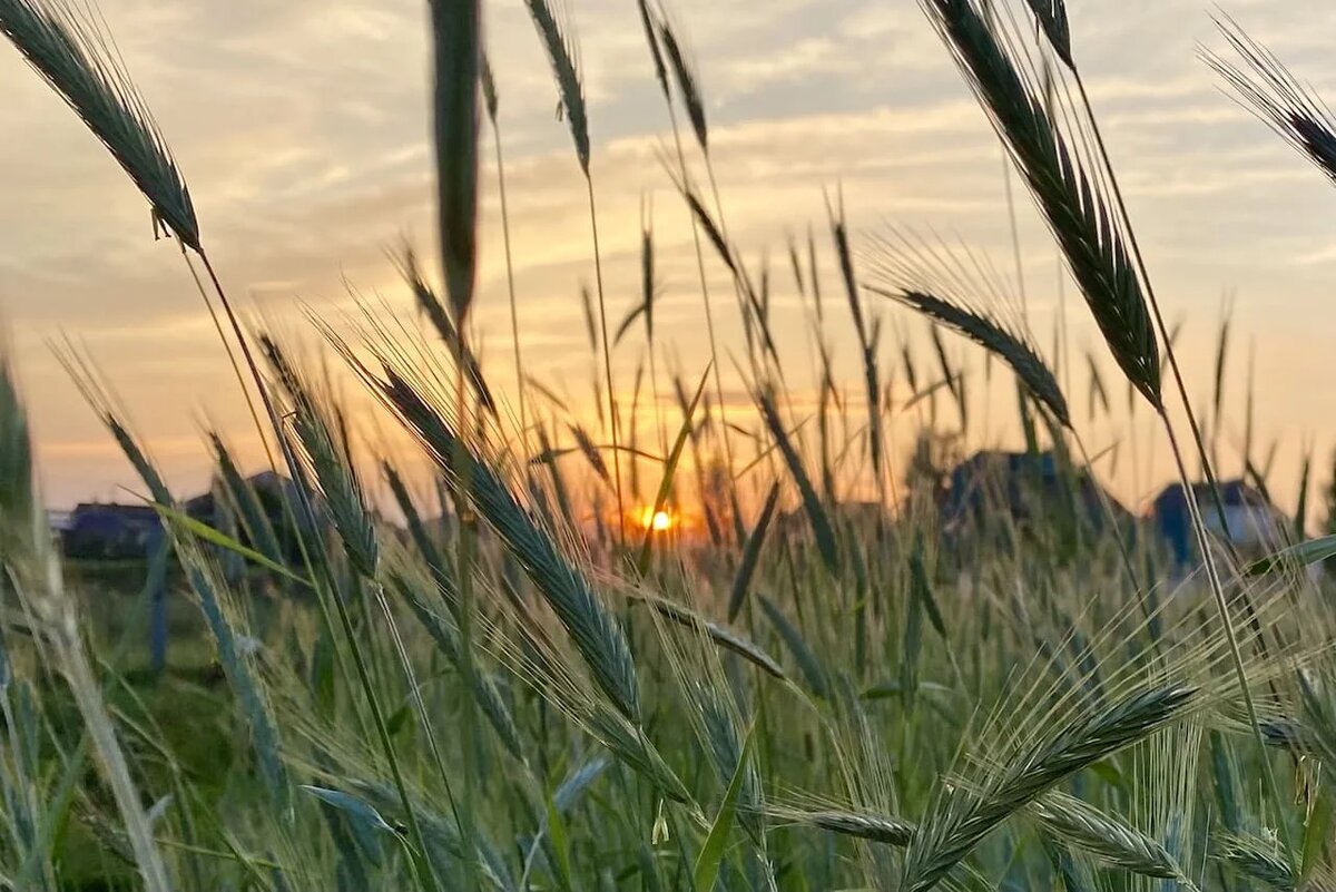 Фото: UfaTime.ru