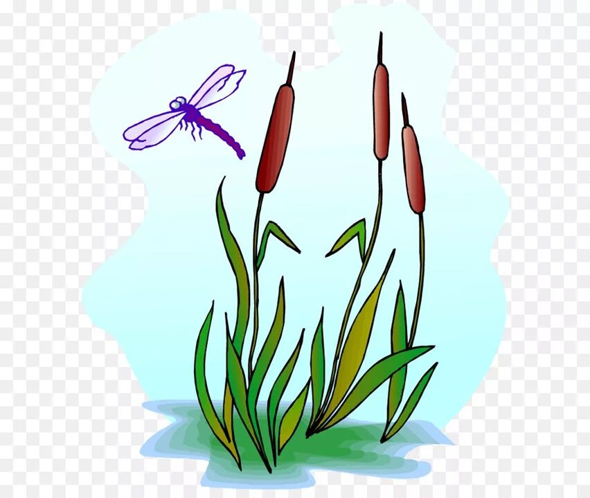 Фото из интернета 