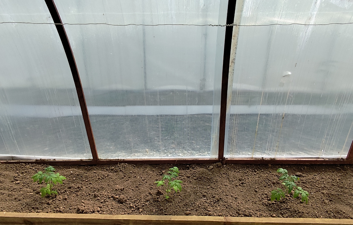 Гномы на постоянном месте теперь