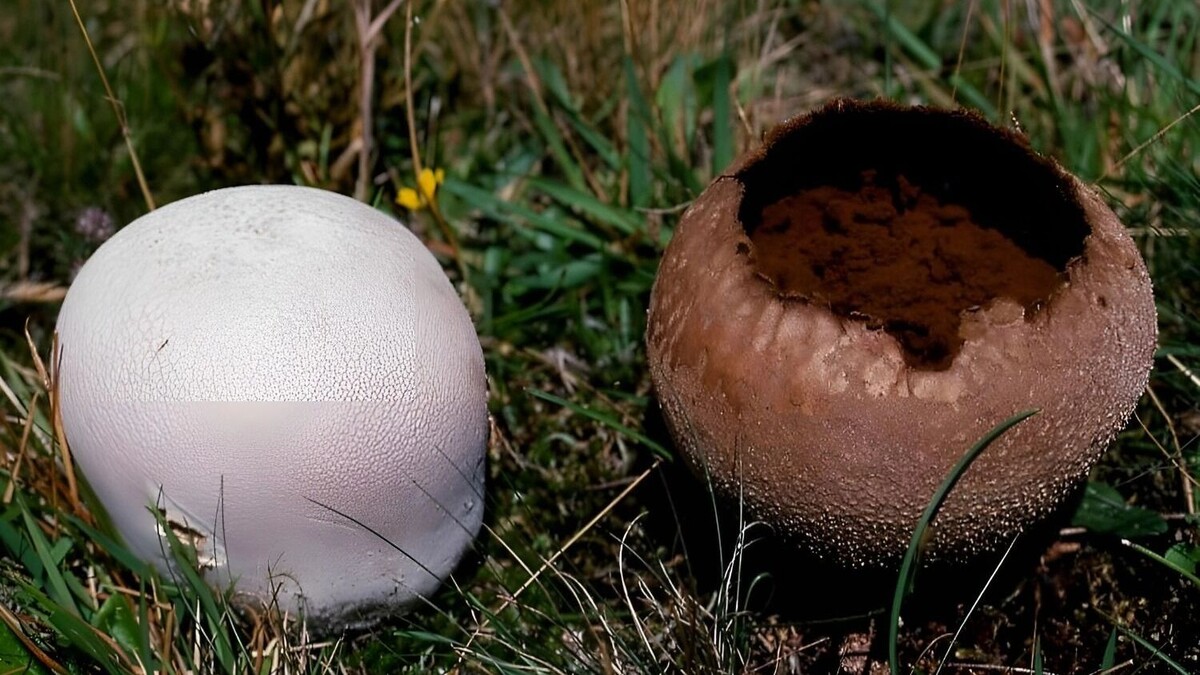     Источник: freepik.com