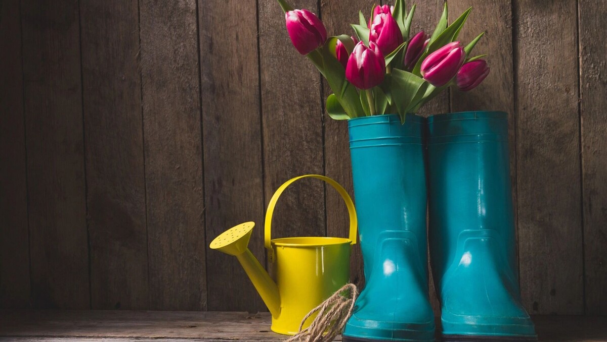     Источник: freepik.com