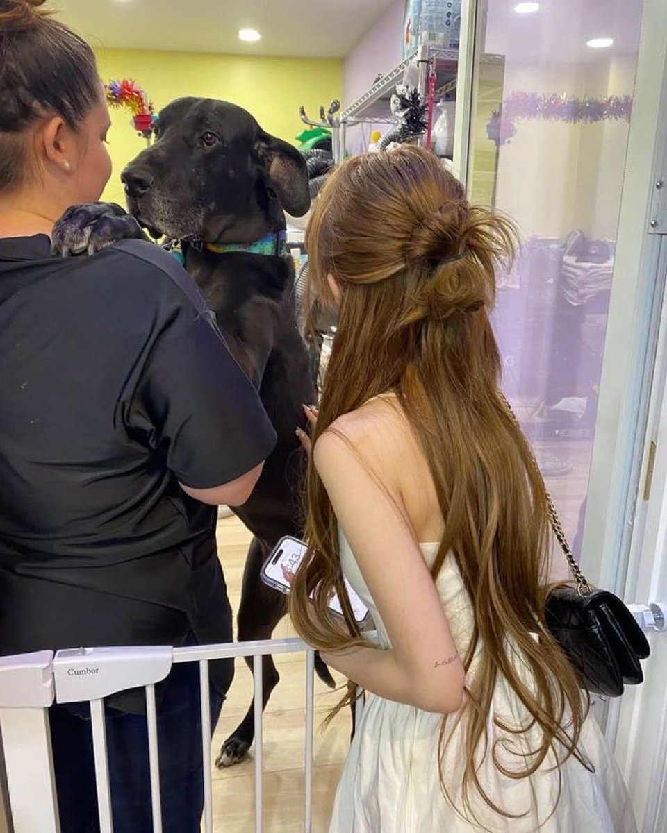    То самое фотоСоцсети