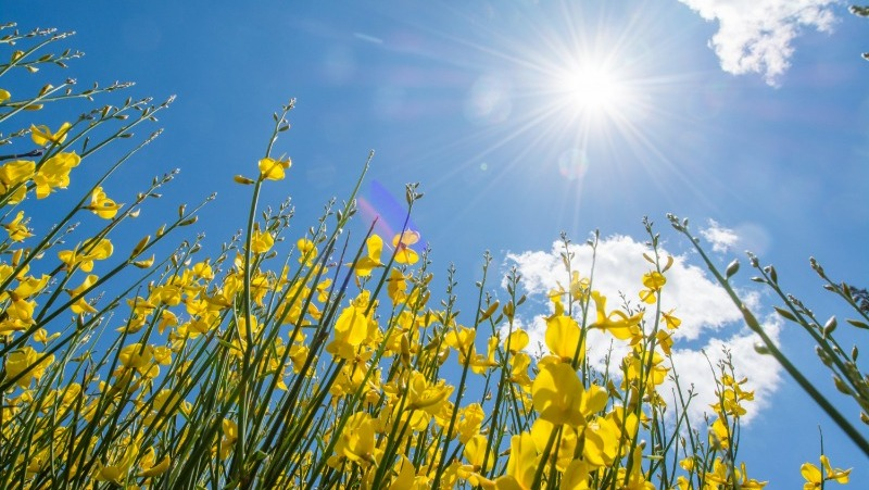 Фото: @luckystudio / freepik.com