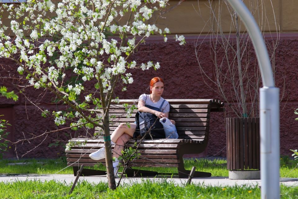    Яблони в цвету. Барнаул. Источник: Виталий Барабаш/"Толк"